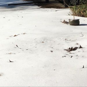 Meet your Posher, Sonia